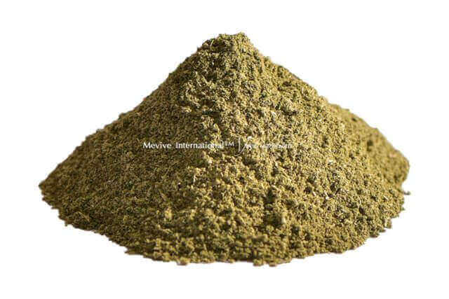 Dried Mint Leaves Powder